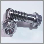 Stainless Steel Hex Flange Bolts
