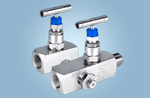 Needle Valves Supplier & Exporter in India