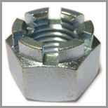 SS Slotted Hex Nuts