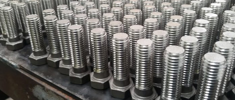 Stainless Steel 304L Bolt