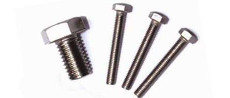 Stainless Steel 316L Bolt