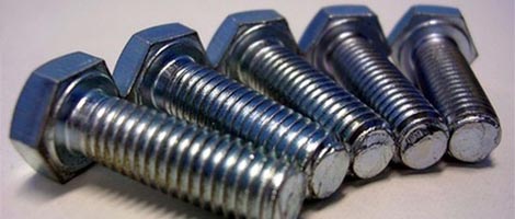 Stainless Steel 317 Bolt