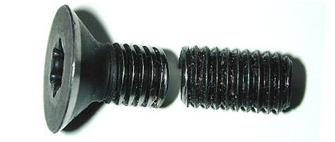 Stainless Steel 304 Bolt