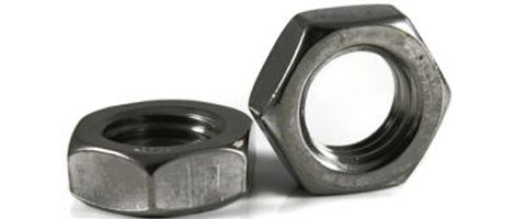 Stainless Steel Nuts