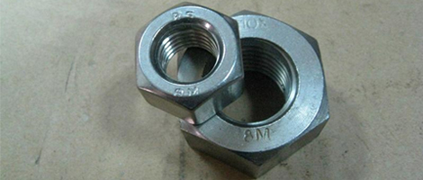 310 Steel Nuts