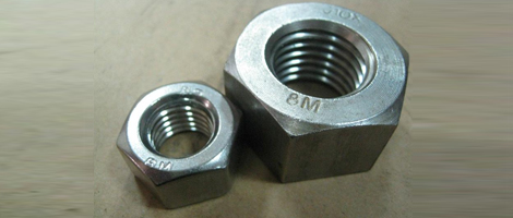 Stainless Steel 310 nuts