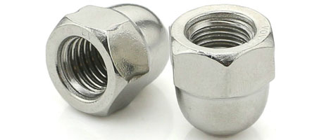 Stainless Steel 316 nuts