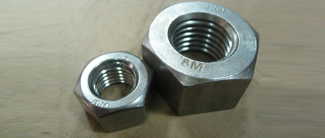 Stainless Steel 317 Nuts