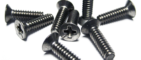 304 SS Screw