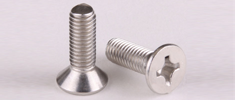 309 SS Screw