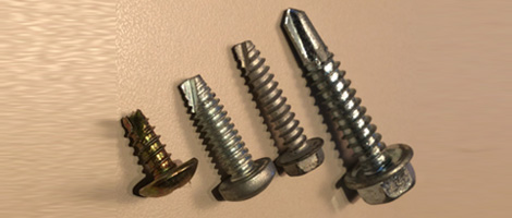 310 SS Screw