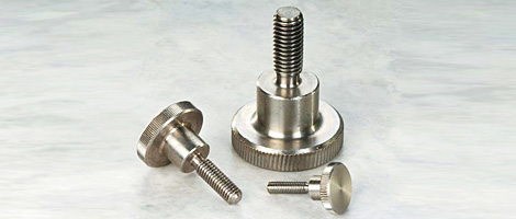 316 SS Screw