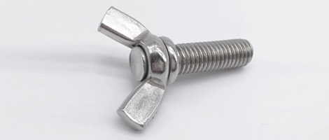 316L Steel Screw