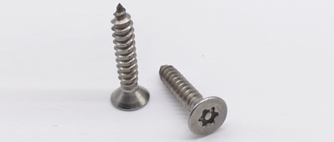 317 SS Screw