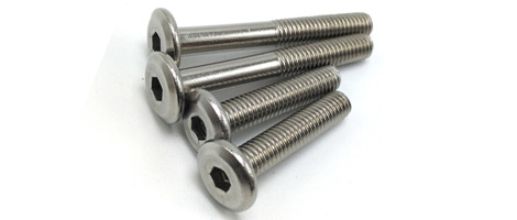 321 SS Screw