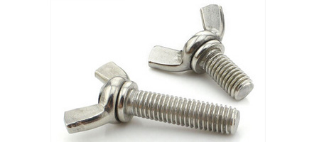 330 SS Screw