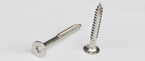 347 Steel Screw