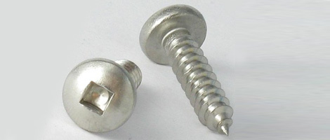 410 SS Screw