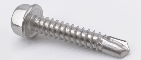 430 SS Screw