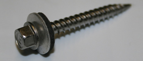 SS 309 Screw