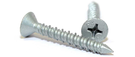 SS 310 Screw