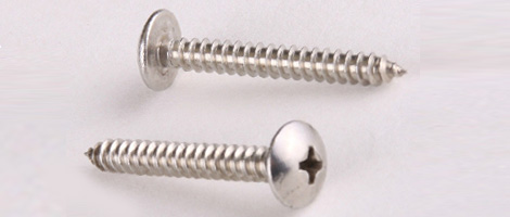 SS 410 Screw