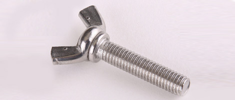 SS 430 Screw