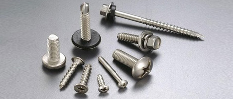 Stainless Steel 310 Screw