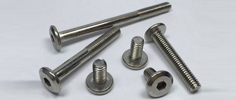 Stainless Steel 317 Screw