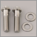 SS 12 Point Flange Bolts