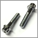 Stainless Steel 12 Point Flange Bolts