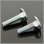 SS Carriage Bolts