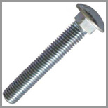 Stainless Steel Carriage Bolts