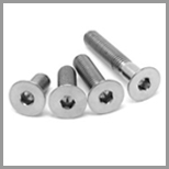 Stainless Steel Countersunk Bolts