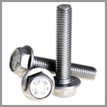 Stainless Steel Hex Head Bolts