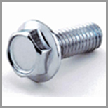 Hexagon Flange Bolts