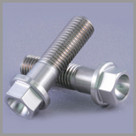 Stainless Steel Hexagon Flange Bolts