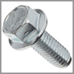 SS Serrated Flange Bolts