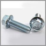 Stainless Steel Serrated Flange Bolts