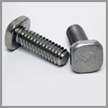 SS Square Head Bolts