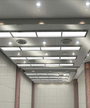 Designer SS Ceiling Panels