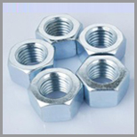 SS DIN 555 / ISO 4034- Heavy Hex Nuts
