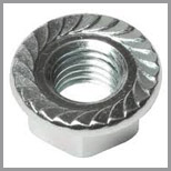 SS Flange Nuts Serrated