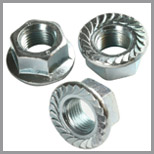 Stainless Steel Flange Nuts Serrated