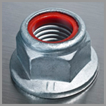 SS Prevailing Torque Lock Nuts