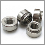 Stainless Steel Self Clinching Nuts