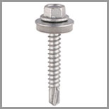 Stainless Steel Roofing Screw