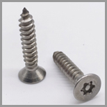 Self Tapping Screw