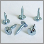 SS Self Tapping Screw