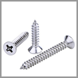 Stainless Steel Self Tapping Screw